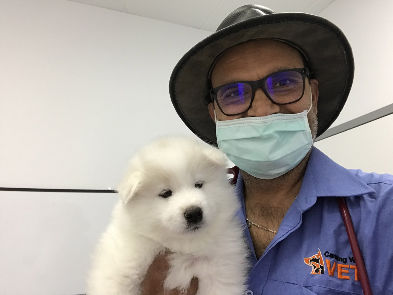 Pet Hospital - Canning Vale Vet- Best Veterinary Hospital in Perth ...