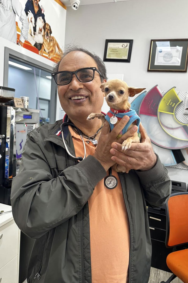 Canning Vale Vet - Dog & Puppy Vaccinations