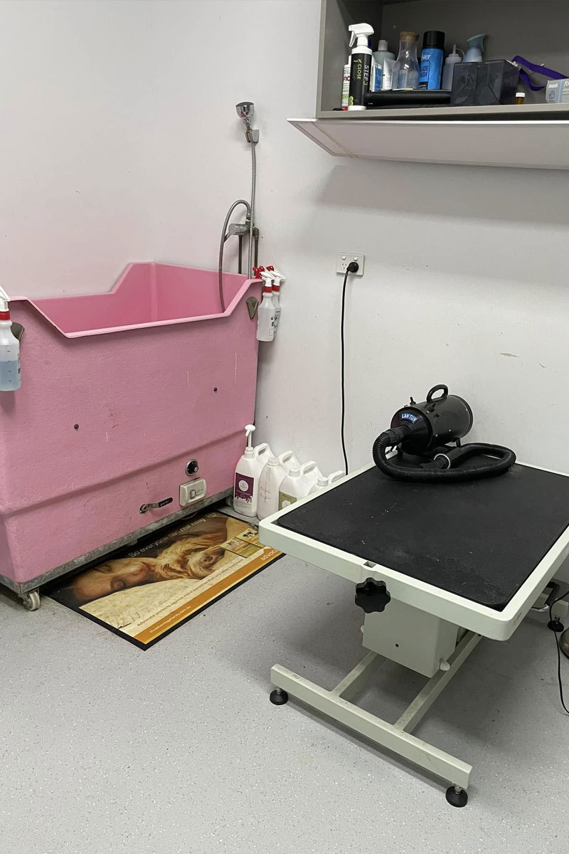Canning Vale Vet - Hydrobath & Grooming Facilities