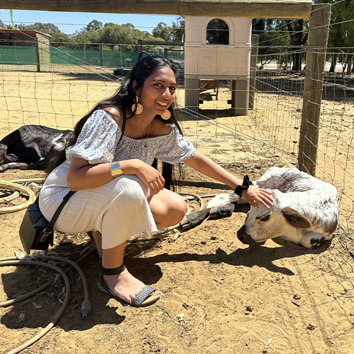 Canning Vale Vet - Our Team - Addy