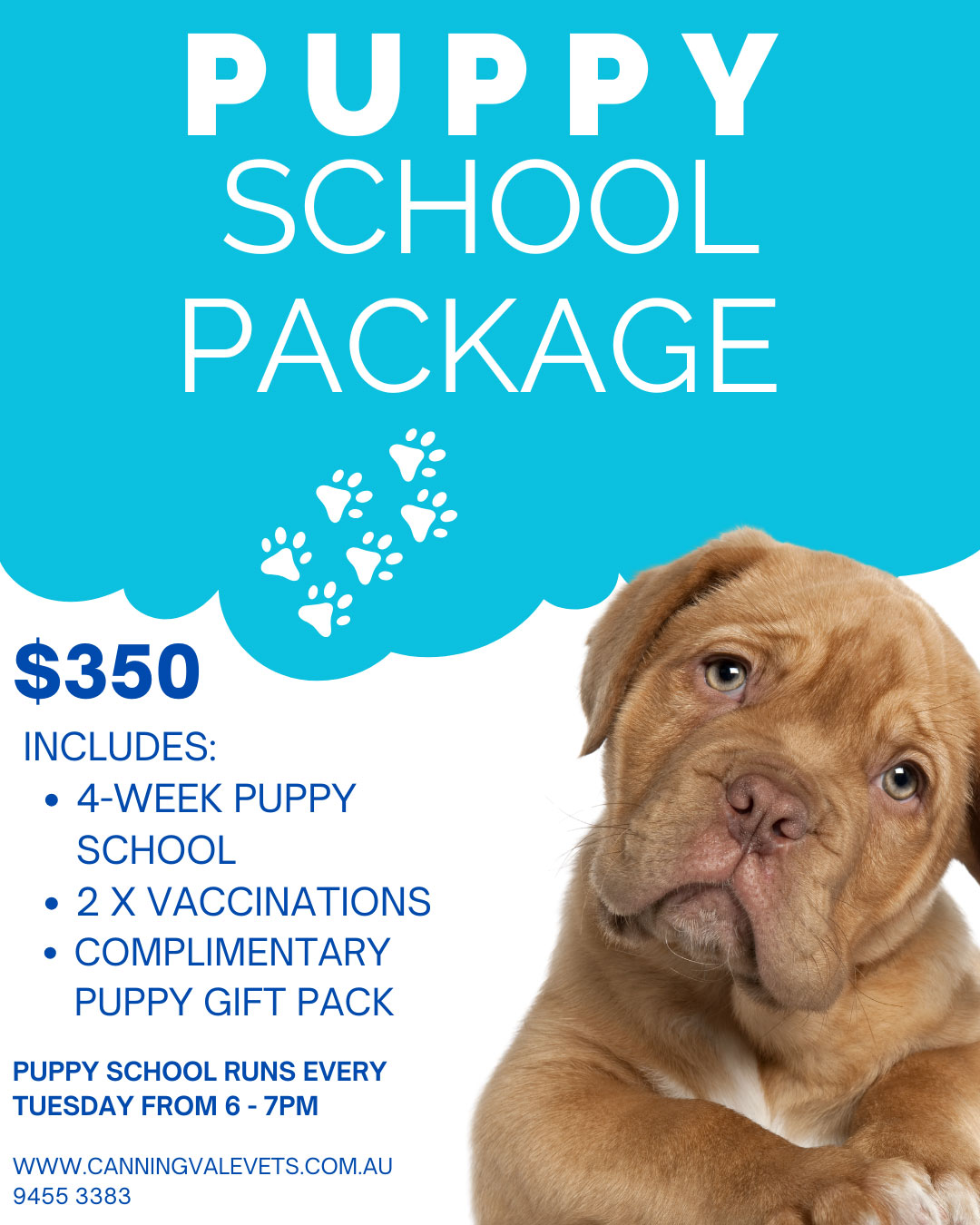 Canning Vale Vet - Puppy Care Package