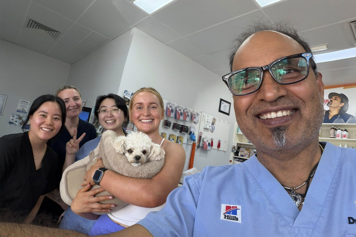 Canning Vale Vet - Pet Hospital 
