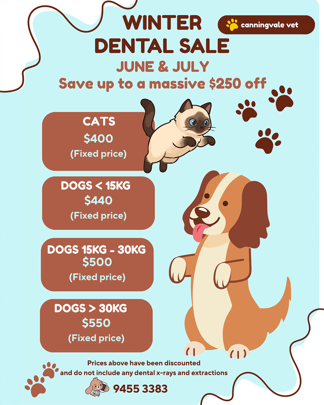 Canning Vale Vet - Winter Dental Specials