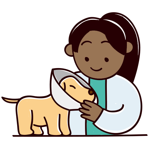 Canning Vale Vet - Desexing