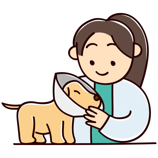 Canning Vale Vet - In House Diagnostics